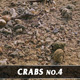Crabs No.4 - VideoHive Item for Sale