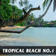 Tropical Beach no.1 - VideoHive Item for Sale