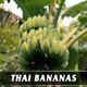 Thai Bananas - VideoHive Item for Sale