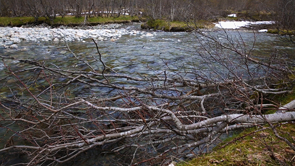 Stream From The Glacier