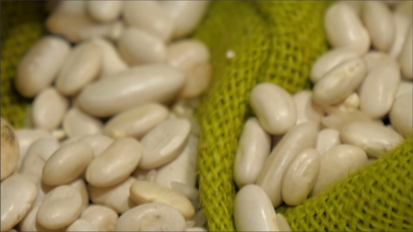 White Beans on Top of the Green Net