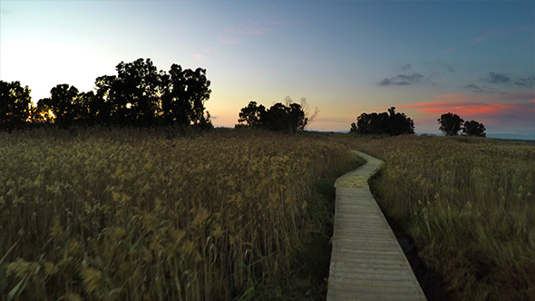 Beautiful Path in the Natural Reserve (2 clips)