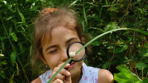 The Child Looks at the Snail Through a Magnifying Glass