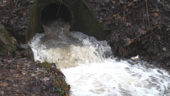 Water Stream In Creek After Rain