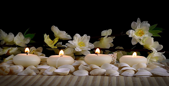 Spa Concept with Seashells and Flowers alt
