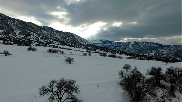 Fly in the Mountains at Winter