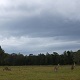 Storm Clouds Over Kangaroos  - VideoHive Item for Sale
