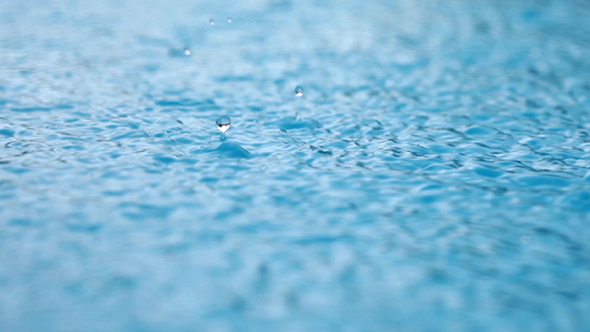 Rain Drops On Water Surface