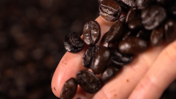 Coffee Bean Pouring