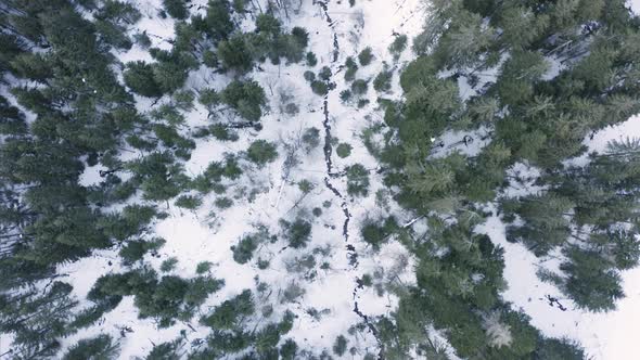 Aerial view of mountain landscape, Italian Alps, Italy.