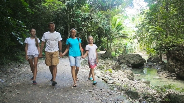 Family Walks On The Walkway In Rainforest