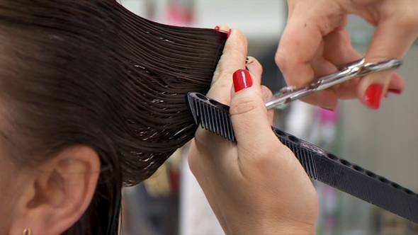Cutting Of Female Hair In Hairdressing Saloon