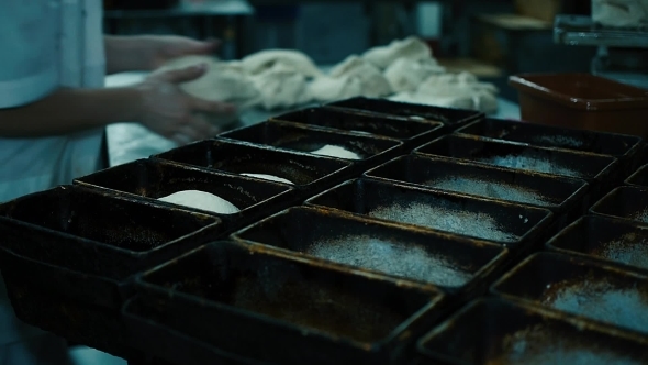 Bread Bakery Food Factory Production With Fresh Products, Flour, Dough, Bread