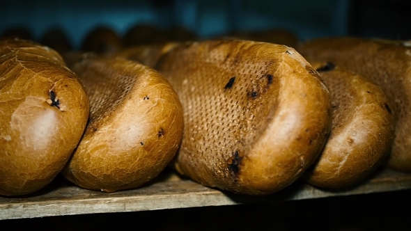 Bread Bakery Food Factory Production With Fresh Products, Flour, Dough, Bread