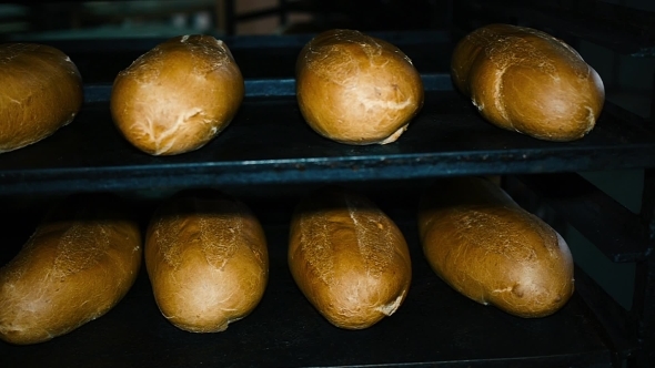 Bread Bakery Food Factory Production