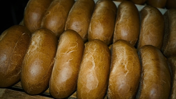 Bread Bakery Food Factory Production With Fresh Products, Flour, Dough, Bread