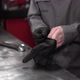 Man Wears Black Leather Gloves - VideoHive Item for Sale