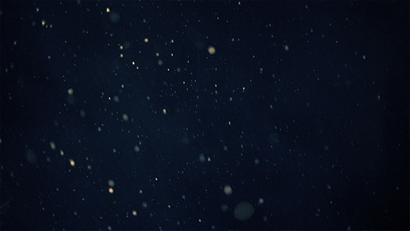 Snowy Night Sky