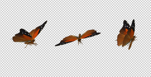 Flying Butterfly - Red Flipper