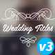 Wedding Titles - VideoHive Item for Sale