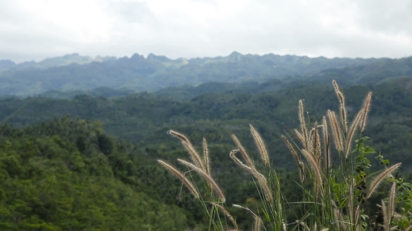 Panoramic Views Of Jungle Mountains In Philippines