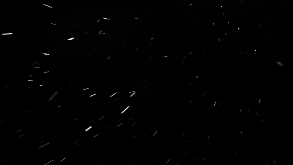 Falling Snow On Black