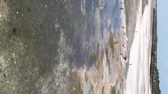 Zanzibar Tanzania  Vertical Video of Low Tide in the Ocean Near the Coast Slow Motion