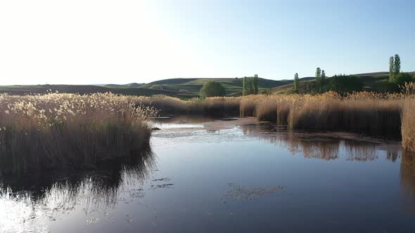 Aerial View Of Nature And Reeds Covered Lake 2