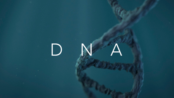 DNA