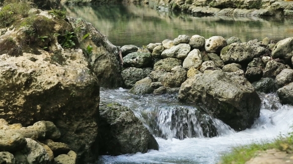 River Stream In The Tropical Forest