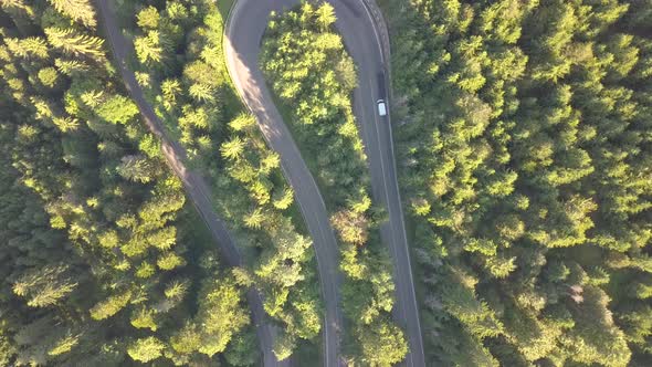 Aerial View of Winding Road with Mowing Cars and Trucks in High Mountain Pass Trough Dense Woods