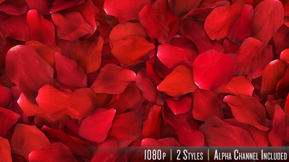 Red Rose Petals Fill Screen Overlay alt