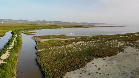 Aerial flight Divjaka-Karavasta National Park in Albania