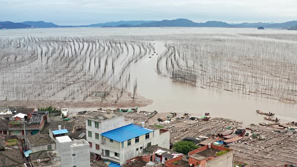 Aerial shot of fishermen heading out to sea on the coast of China