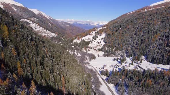 Mountain Forests in the Fall in Switzerland