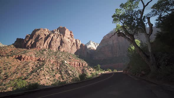 Roadside Scene In Zion National Park 4