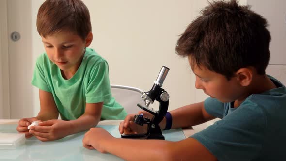 Closeup of Two Homeschooling Sibling Boys Looking Through a Microscope