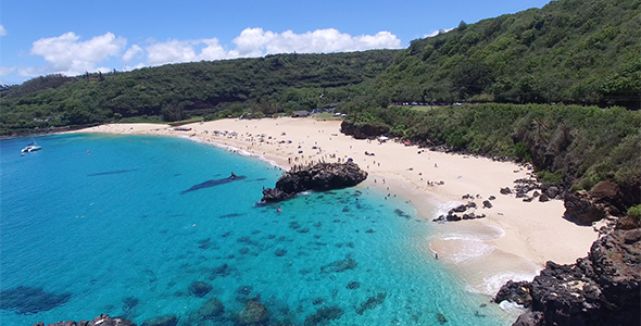 Aerial View of Waimea Bay on the North Shore of Oahu, Hawaii