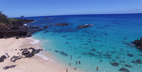 Aerial View of Tourists Snorkeling and Swimming in Hawaii