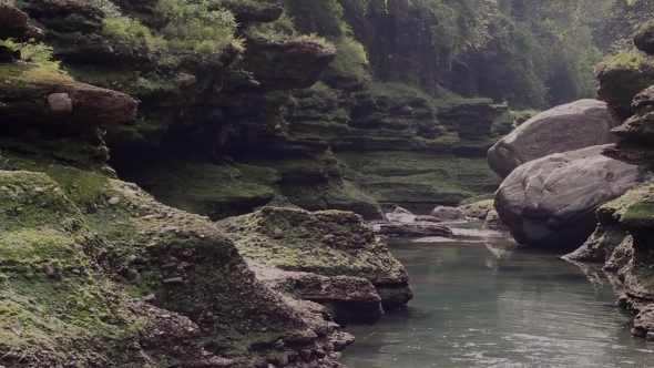 Beautiful Narrow Mountain Stream