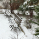 Snowing in the Park - VideoHive Item for Sale