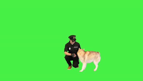 Policeman Jokingly Hides Sugar From His Dog on a Green Screen Chroma Key