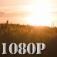 Golden Hour 3 - VideoHive Item for Sale
