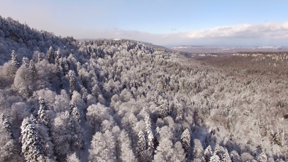 Aerial View Flight Above Snow Winter Forest
