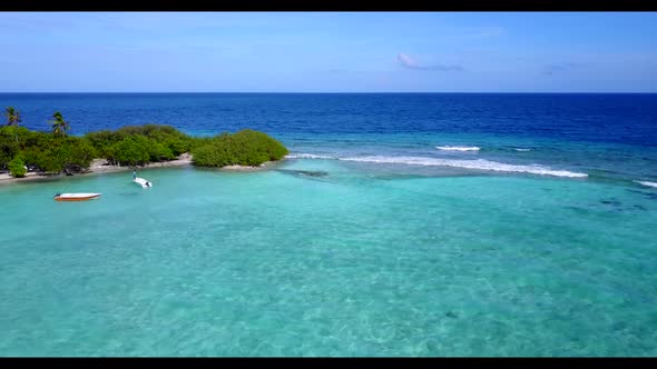 Aerial landscape of relaxing lagoon beach wildlife by blue ocean and bright sandy background of a da