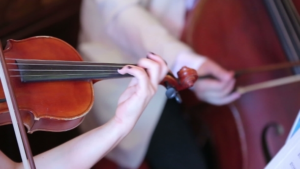 Woman Playing The Violin