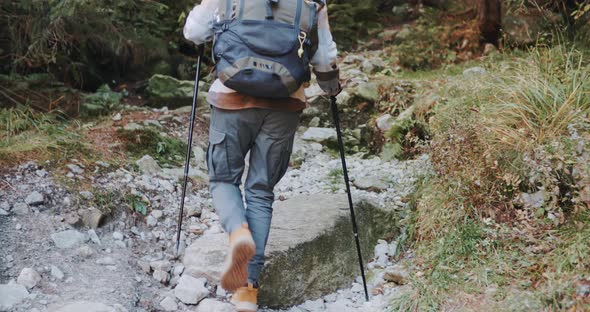 Backview Handheld Male Hiker Walking Up Climbs Stone Trail in Autumn Mountain Forest with Backpack