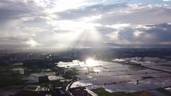 Beautiful sun ray over paddy field.