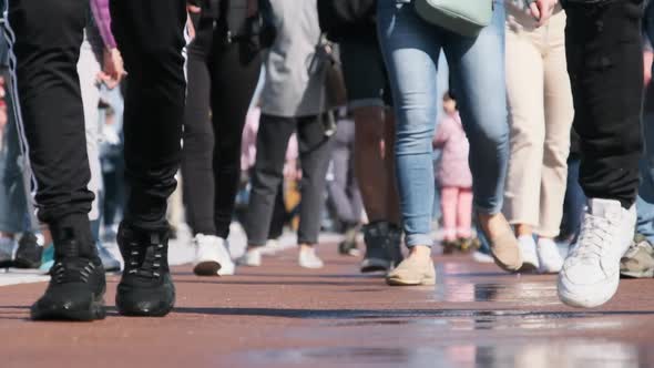 Legs of Crowd People Walking on the Street Closeup of People Feet Slow Motion