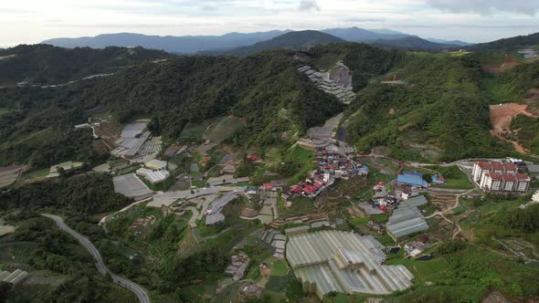 Cameron Highlands, Pahang Malaysia